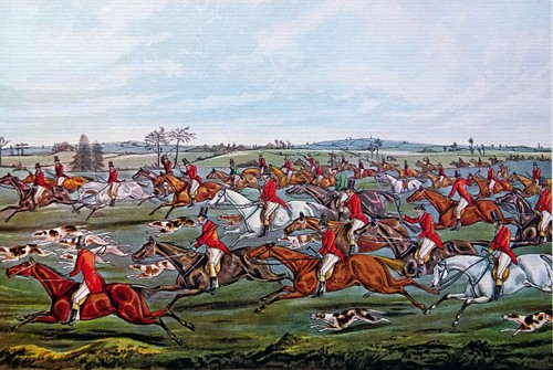Angleterre chasse à - angleterre,