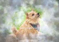 Tirage Photo A4 Haute Qualité