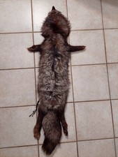 Ancienne Etole Renard Argenté