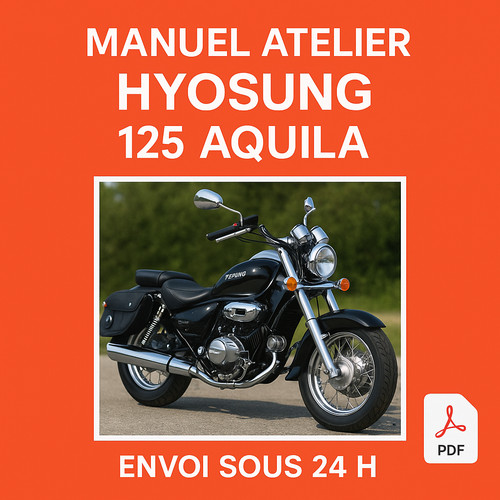 Manuel atelier hyosung 125 - manuel,