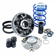 Variateur POLINI Original