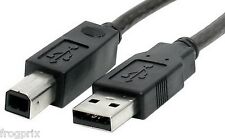 CABLE USB 2 m pour imprimante