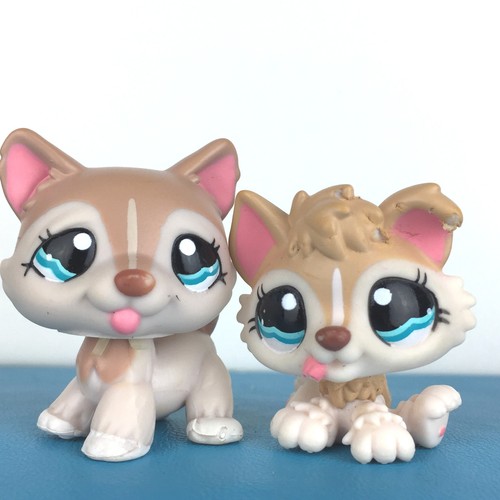 Authentic littlest pet shop - authentic,