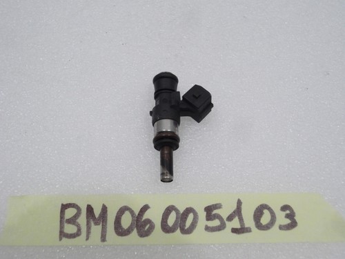 Injecteur injektoren fuel - injecteur,
