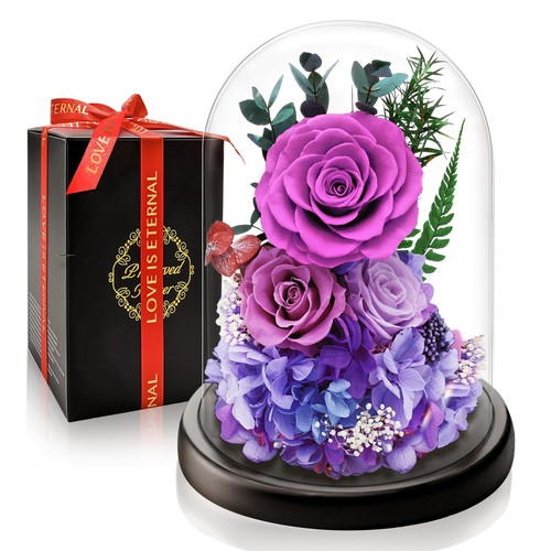 Rose eternelle préservée - rose,