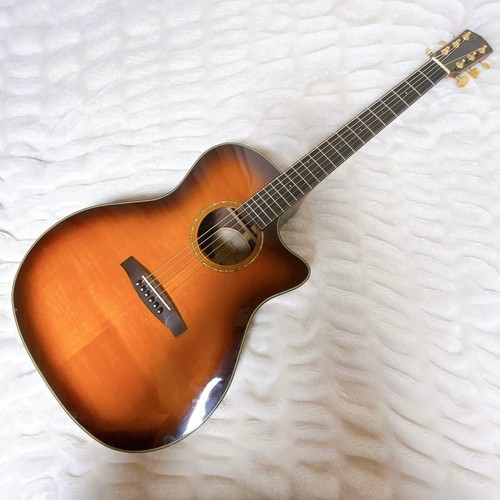 guitare acoustique fender