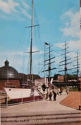 Gipsy moth greenwich postcard - moth,