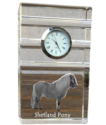 Poney shetland horloge - poney,