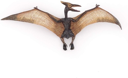 Papo pteranodon hand painted - papo,