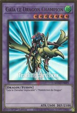Yu-Gi-Oh! Gaïa le Dragon Champion : PGR MAGO-FR025