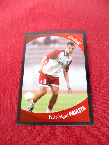 Pauleta psg paris image - paris,