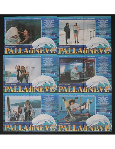 Fotobustes palla neve - fotobustes,