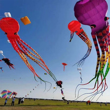Cerf-Volant En Forme De Poulpe Pour Enfant Et Adulte, Jouet Kitesurf Volant Prof