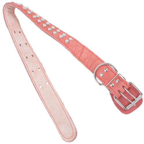 Collerette chien collier de - collier,