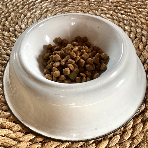 Ancienne gamelle pour chien - , ou
