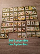 Anciens Bon Points Blédine