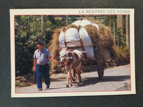 Rentree des foins - rentree,