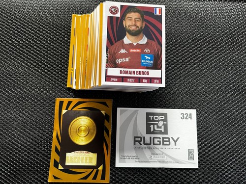 Panini lot 100 vignettes - 100,