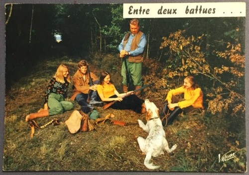 Carte postale humoristique - postale,