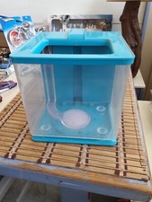 Petit aquarium plastique