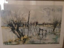 Bord d’étang en hiver -