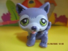 Petshop Chien Husky #487 /