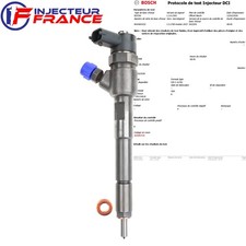 0445110618 Bosch Injecteur