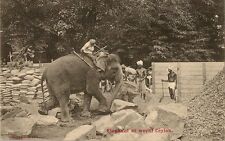 CARTE POSTALE ASIE SRI LANKA CEYLAN ELEPHANT AT WORK ELEPHANT AU TRAVAIL