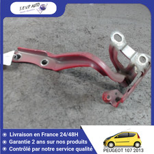 🇫🇷 COMPAS GAUCHE CAPOT