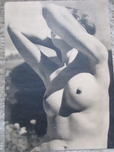Photographie art nu - photographie, .