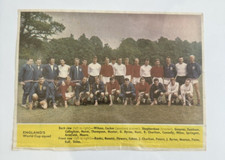 1966 D C Thompson The Hornet