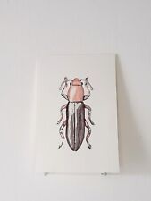 Insecte AQUARELLE ORIGINALE