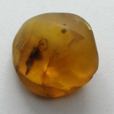 Ambre naturelle de Birmanie – insecte fossile visible – 6.94 ct – 17 × 16 × 10