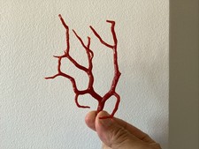 Fine Branche de Corail Rouge