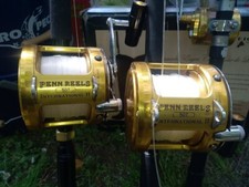 moulinet penn internationnal 50T