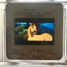 SPIRIT L'ÉTALON DES PLAINES