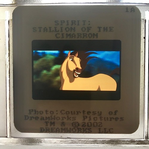 Spirit étalon des plaines - l'Étalon,