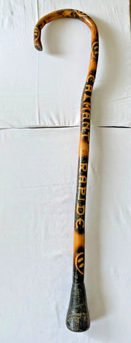 Cane baton manifestant - baton, anti