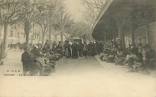 Cpa cannes le - cpa, marché