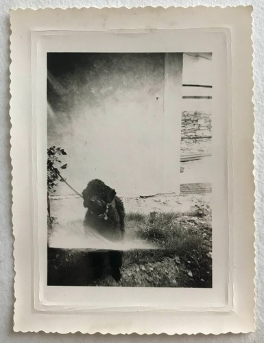 Photo ancienne vintage - ancienne,