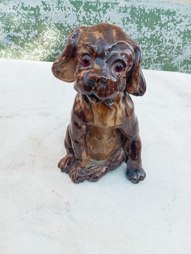 Ancien chien bavent - chien,