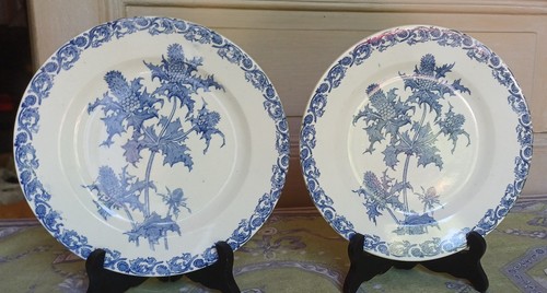 Paire anciennes assiettes - paire,