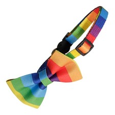  Collerette Pour Chat Collier