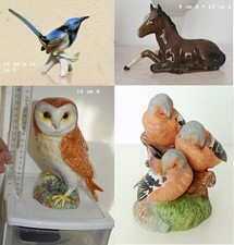 Choix oiseau chouette - oiseau,