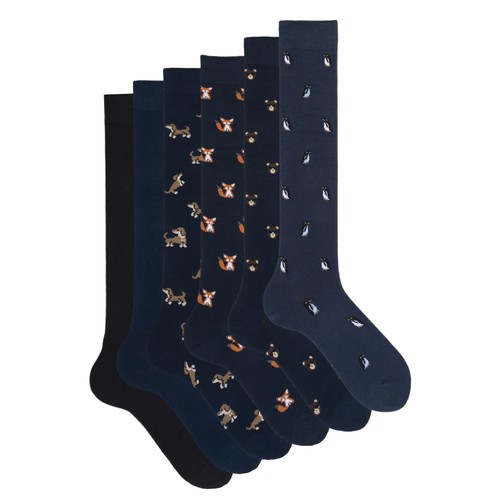 Ciocca coffret cadeau - coffret,