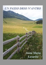 Anna Maria Lavarini Un passo drio n'antro (Poche)