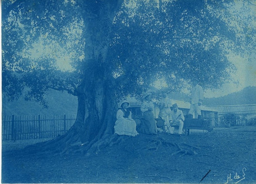 cyanotype