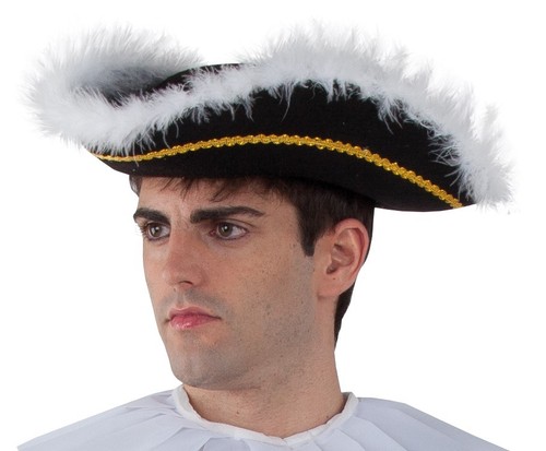 Chapeau tricorne noir plumes - noir,