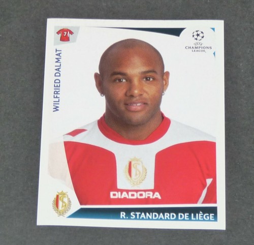 542 dalmat standard liege - dalmat,