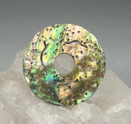 Coquille abalone paua donut - coquille,